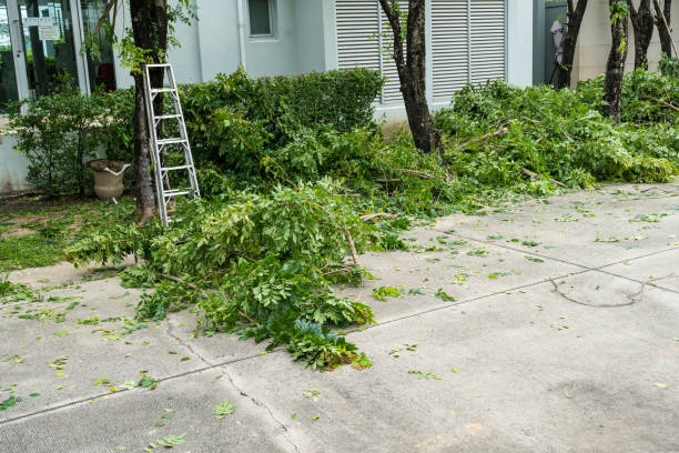 Mulching Services in Wallace, ID